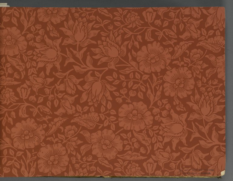 Hang the Moon, LLC Professional Wallpaper Installation — wallcovering installer in Fort Collins, CO